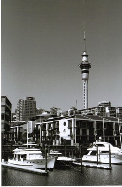 viaduct harbour view of sky tower